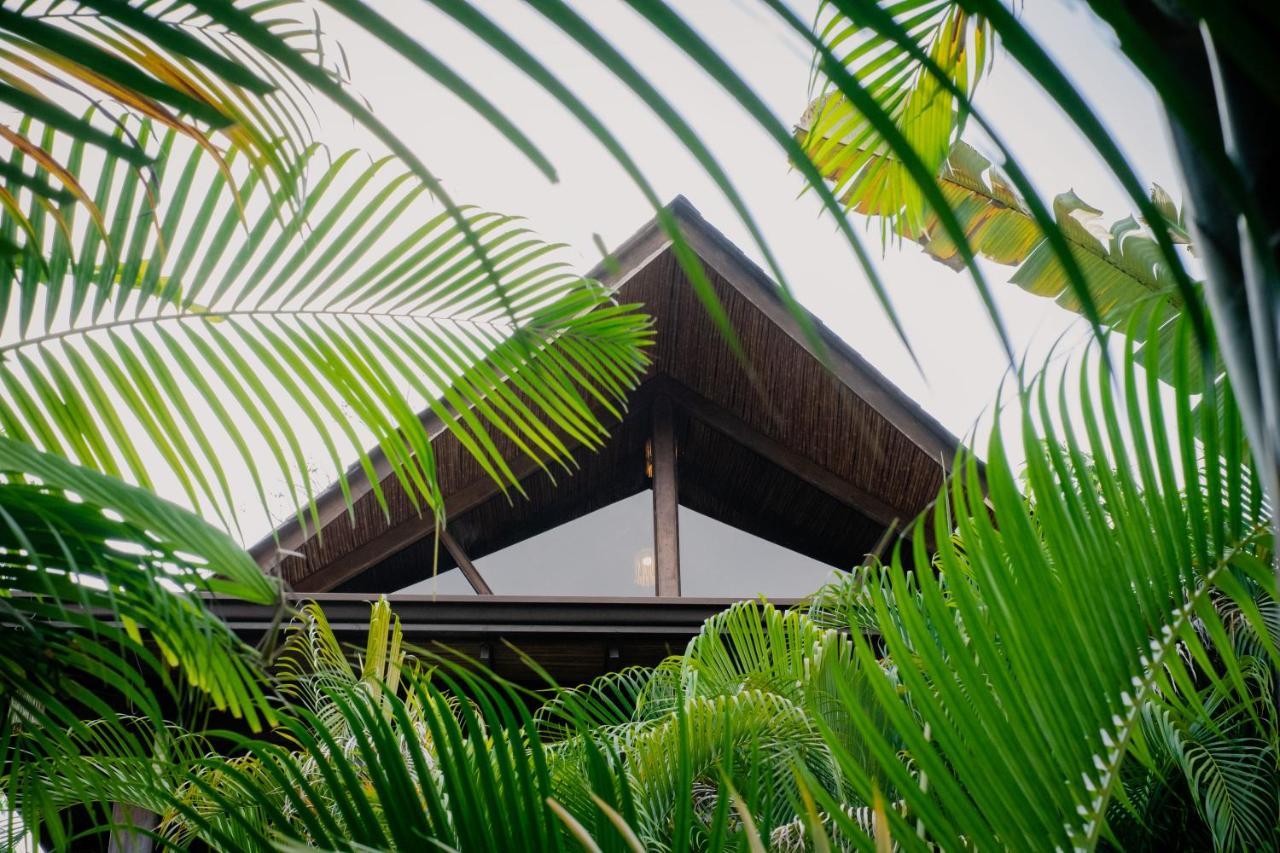Lua Villas Playa Santa Teresa  Экстерьер фото